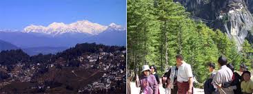 Manufacturers Exporters and Wholesale Suppliers of Eastern Himalayan Tour Silguri West Bengal